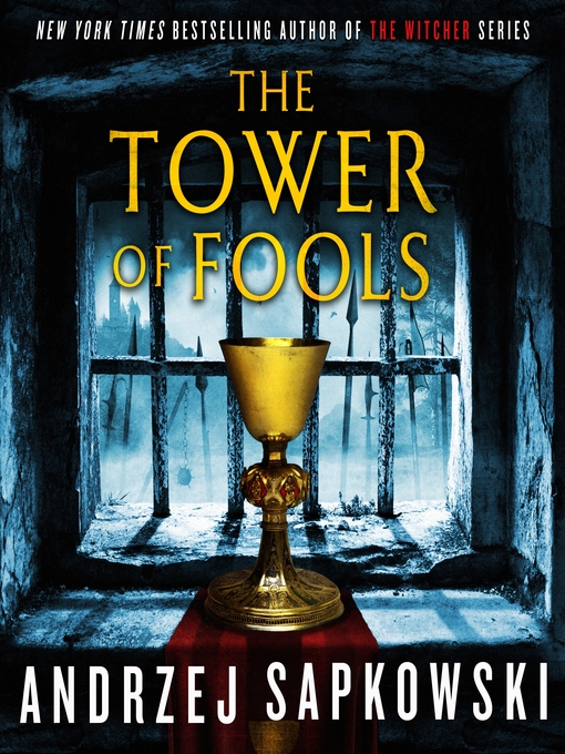 Cover image for The Tower of Fools